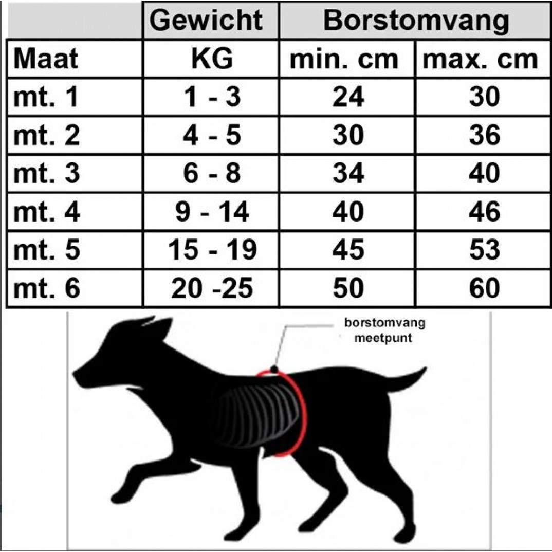 WAW Tuig Ergo Village Camel