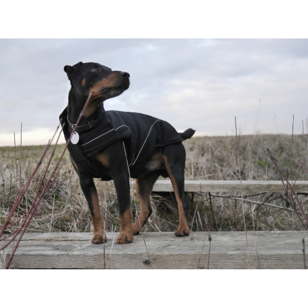 DogBite Winterjas zwart