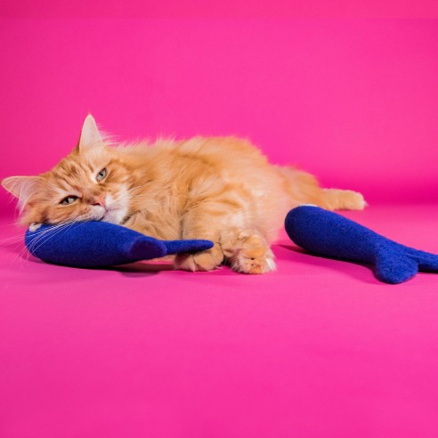 Mimis Daughters Freddy the big fish 23cm Mimis Daughters Freddy the big fish 23cm