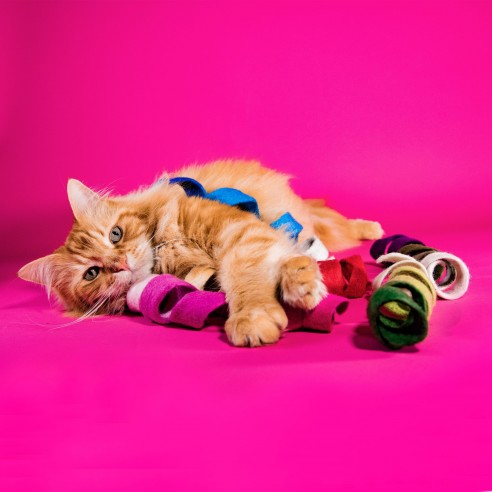 Mimis Daughters Spinny Spiral blauw Mimis Daughters Spinny Spiral blauw