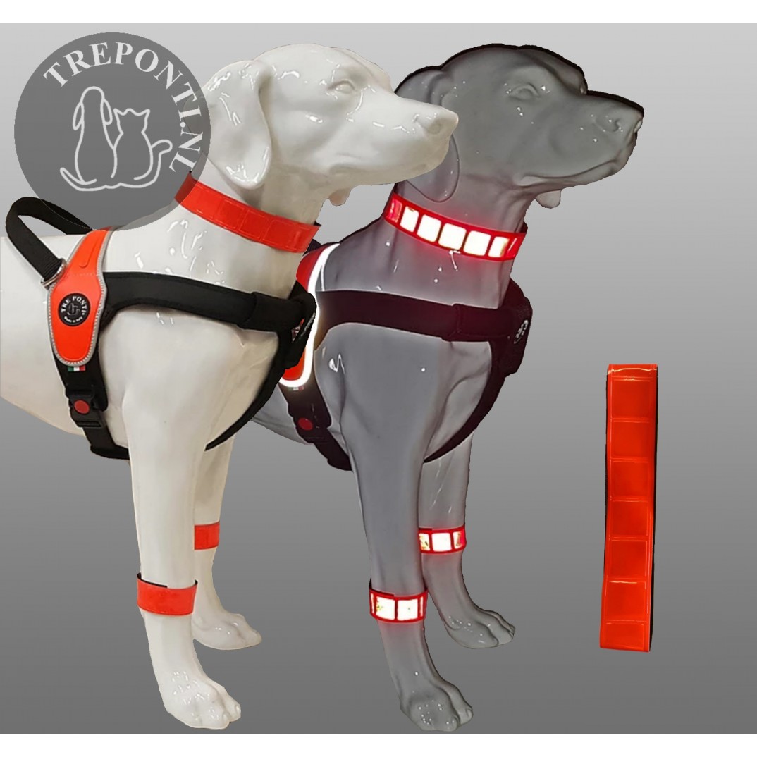 Tre ponti high visibility reflective banden set oranje