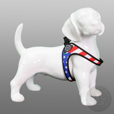 Tre Ponti Fibbia Patriota USA Laatste Exemplaar mt1.5