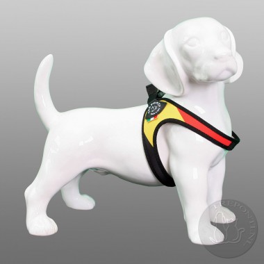 Tre Ponti Fibbia Patriota België Laatste maten