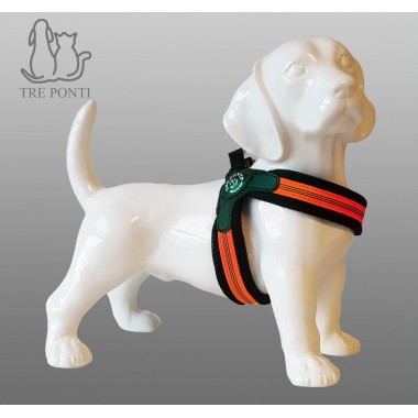 Tre Ponti Fibbia mesh fluo pop - oranje