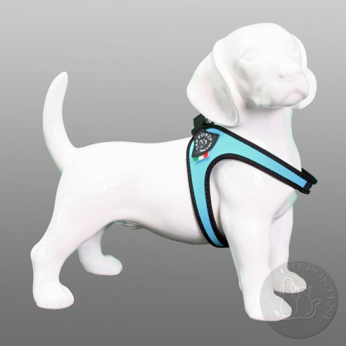 Tre Ponti Fibbia - standaard blauw Tre Ponti Fibbia - standaard blauw