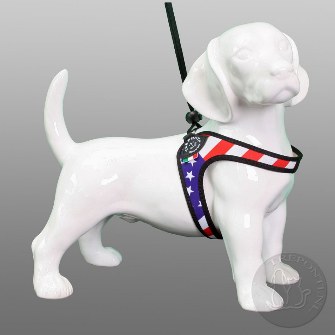 Tre Ponti Liberta Patriota USA Laatste Exemplaar mt 3 Tre Ponti Liberta Patriota USA Laatste Exemplaar mt 3