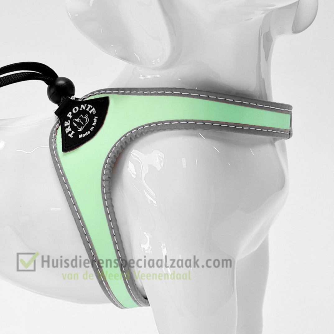 Tre Ponti Liberta reflective Mint