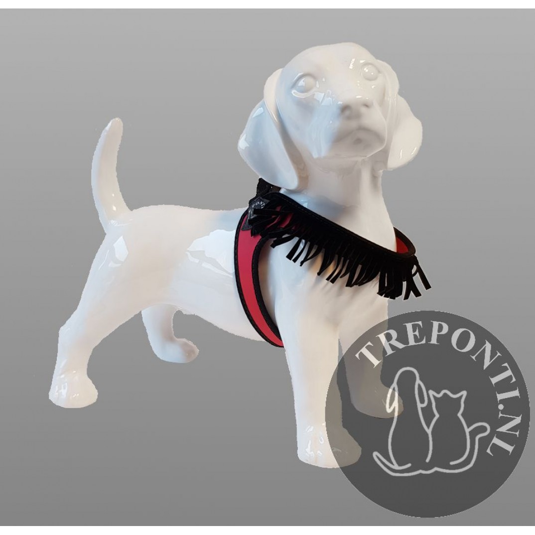 Tre Ponti Fibbia Fringe Rood Laatste Exemplaar Mt 2.5 Tre Ponti Fibbia Fringe Rood Laatste Exemplaar Mt 2.5