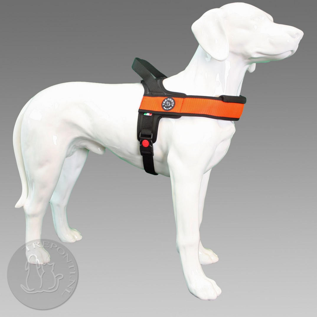 Tre Ponti Primo - plus oranje