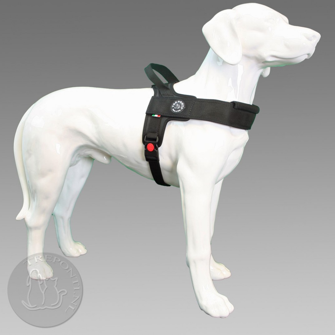 Tre Ponti Primo - plus zwart